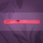 Plastikbasis Für Papmam-Einwegfeilen (Gerade) EXPERT 20