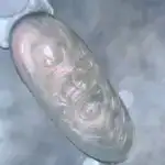 NAILSOFTHEDAY Builder gel 90 – Perlmutt – perlmuttfarbener Aufbaugel mit zartem Schimmer, 15 ml