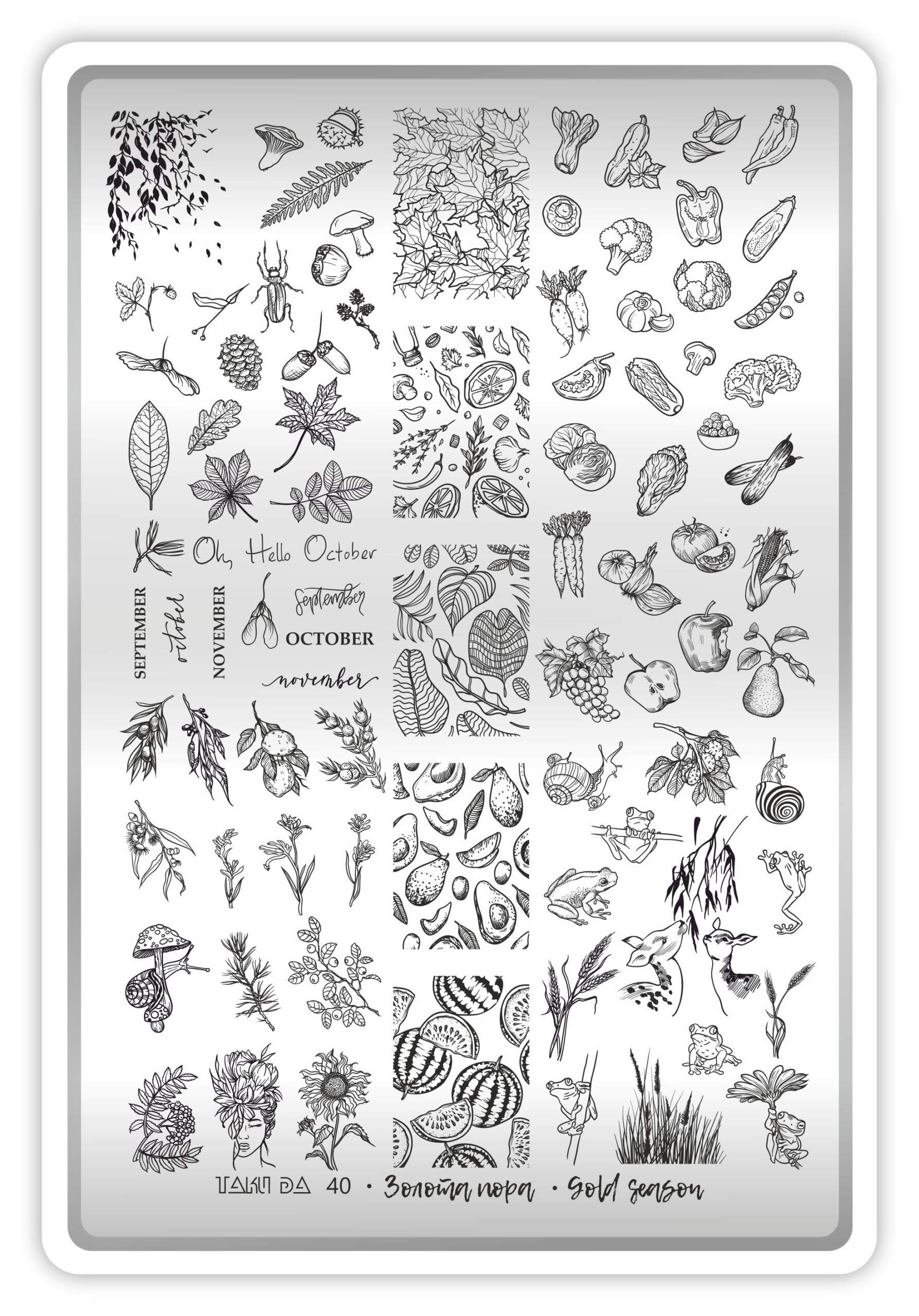 Stamping Plate DEMO Taki Da - 40 GOLDEN SEASON - Stamping-Schablone mit Demo-Sheet (mit Vorlagenblatt) – Bild 2