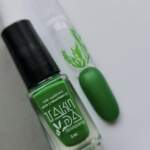 Stamping-Lack TAKI DA - Professional stamping polish - Green 011, 5 ml