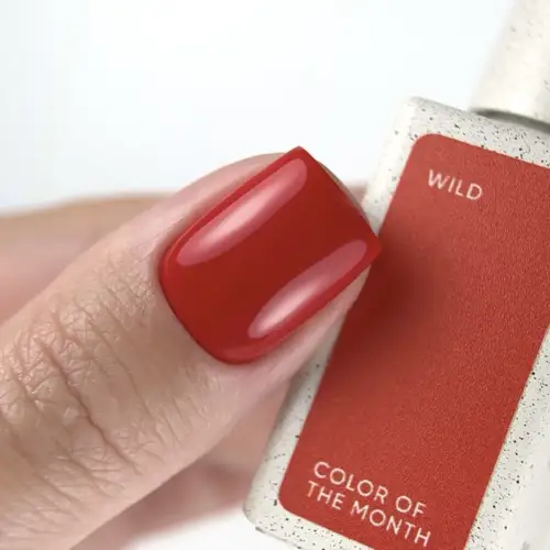 NAILSOFTHEDAY Color of the month March 2026 Wild